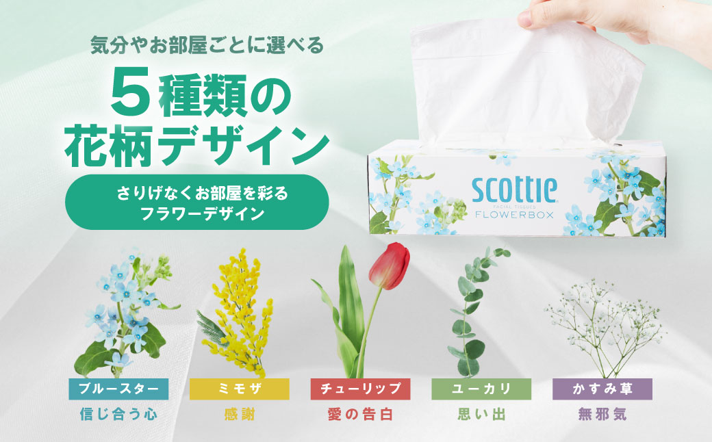 【スコッティ】ティシュー フラワーボックス 250組 5箱パック×3セット 合計15箱 ティッシュ 日用品 生活必需品 消耗品 紙 まとめ買い 備蓄 防災備蓄 デザインボックス