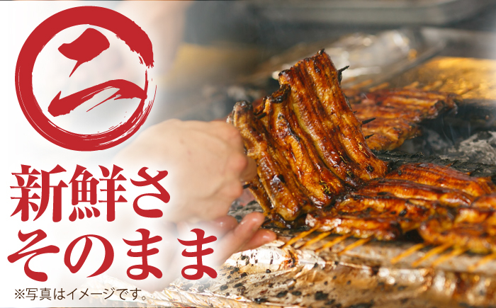 うなぎ ウナギ 鰻 炭火焼 手焼き ひつまぶし 土用の丑の日