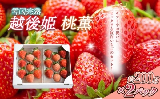 
                  先行予約  いちご 新潟 雪国完熟越後姫桃薫 約200g×2P食べ比べセット イチゴ 苺 お取り寄せ ギフト 贈り物 上越 苺の花ことば
                