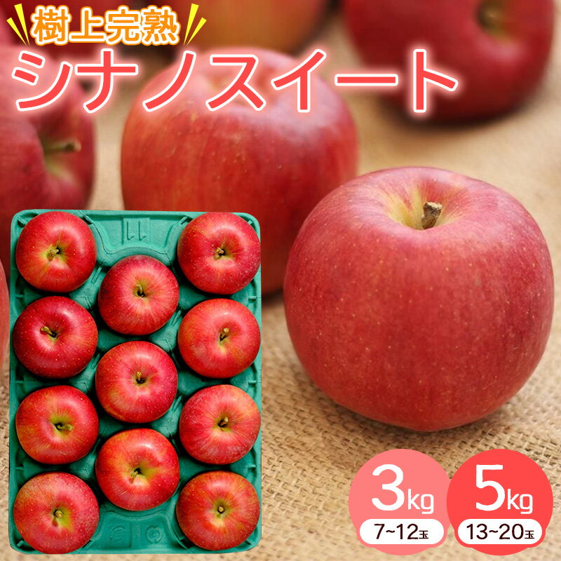 【ふるさと納税】【楽天限定】《先行予約》山形県産 シナノスイート りんご 3kg 5kg 令和8年産【2026年11月上旬頃から11月中旬頃発送予定】 お取り寄せ 特産 産地直送 果物 フルーツ 新鮮 季節 冬 デザート 2026年産 3キロ 5キロ ふるさと納税