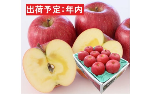 
年内 贈答規格 蜜入り サンふじ 約3kg（特A）【12月・青森りんご・JA津軽みらい(板柳）】
