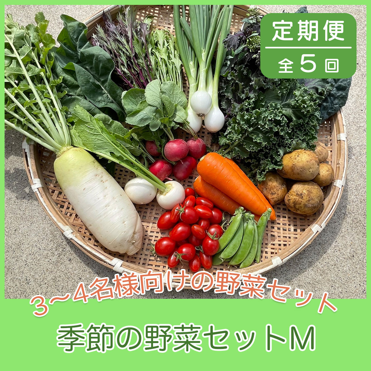 【5ヶ月定期便】京都府綾部市の季節の野菜セットM（3〜4名様分）農薬不使用 無農薬 新鮮 野菜 セット 詰め合わせ 京都 綾部 農家直送