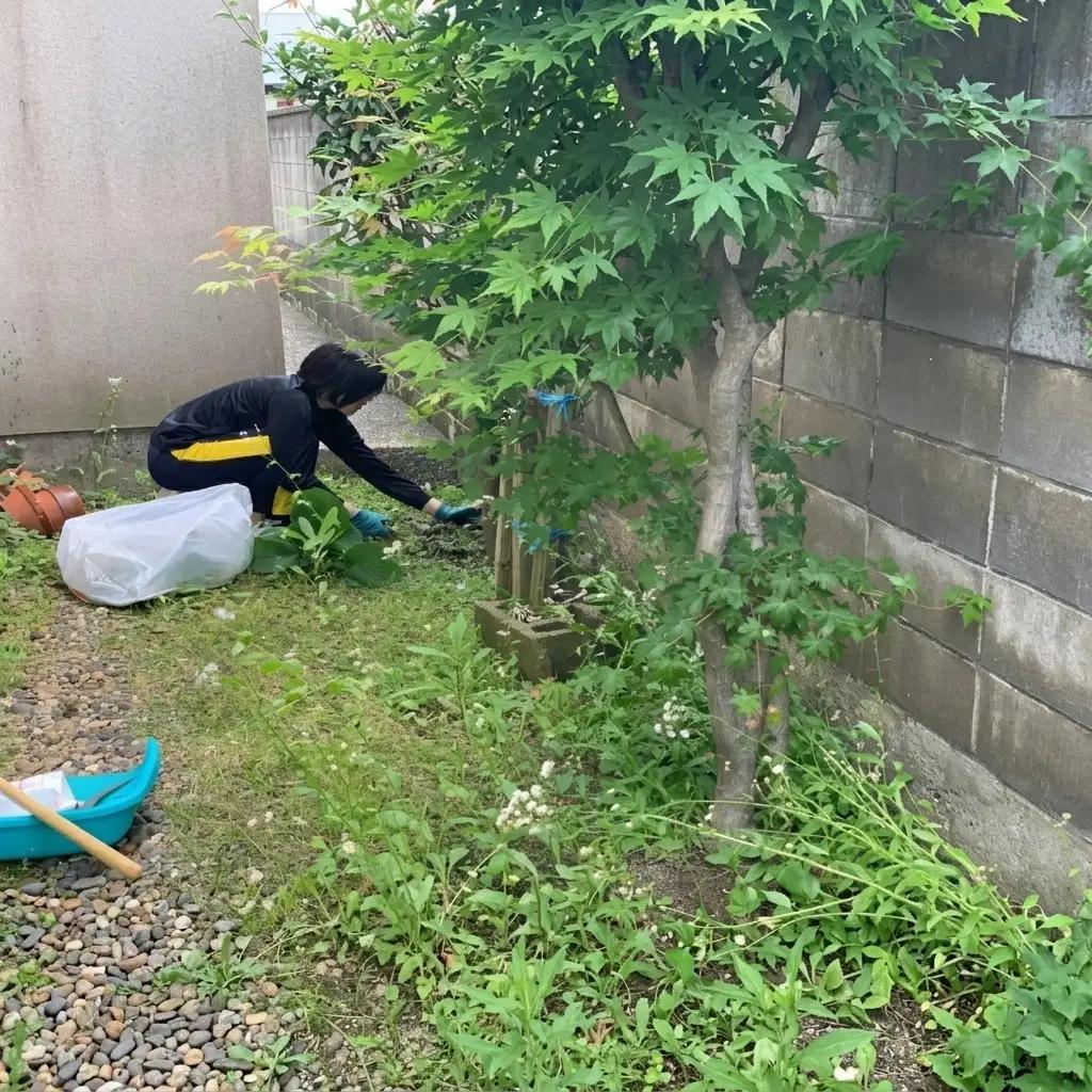 秋田県 能代市 空き家管理 空き地管理 故郷の空き家の庭や空き地の雑草の草刈りをします 対象地域：能代市