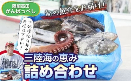 三陸水揚げ旬の鮮魚セット【下処理済】(1～2人用) 三陸海の恵み詰め合わせ 【 鮮魚 三陸産 海鮮 新鮮 お刺身 鮮魚セット 産地直送 おさかな お魚 旬 人気 お手軽 】RT840-下処理する