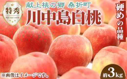 もも【川中島白桃・2026年産先行受付】特秀　3kg　桑折町産　JAふくしま未来　桃 ／ もも モモ 果物 フルーツ 旬 甘い 甘み ジューシー 果肉 果汁 新鮮 フレッシュ デザート おいしい 産地直送 桑折 こおり こおりまち 福島県 特産品 No.098
