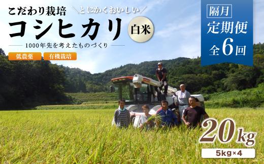 【定期便6回隔月お届け】有機栽培コシヒカリ白米 20kg×6回(隔月) 京都府産 低農薬 隔月お届け【 定期便 隔月 米 20キロ 精米 白米 こめ コメ お米 おこめ こしひかり 井上吉夫 米農家 有機栽培米 有機栽培 農家直送 減農薬 綾部市 京都府 】