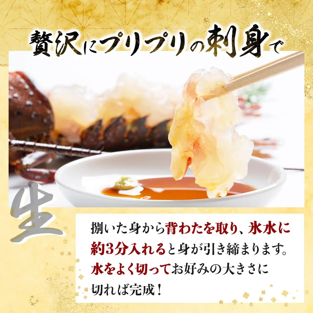 活き 伊勢海老 2～5尾 1kg 伊勢海老