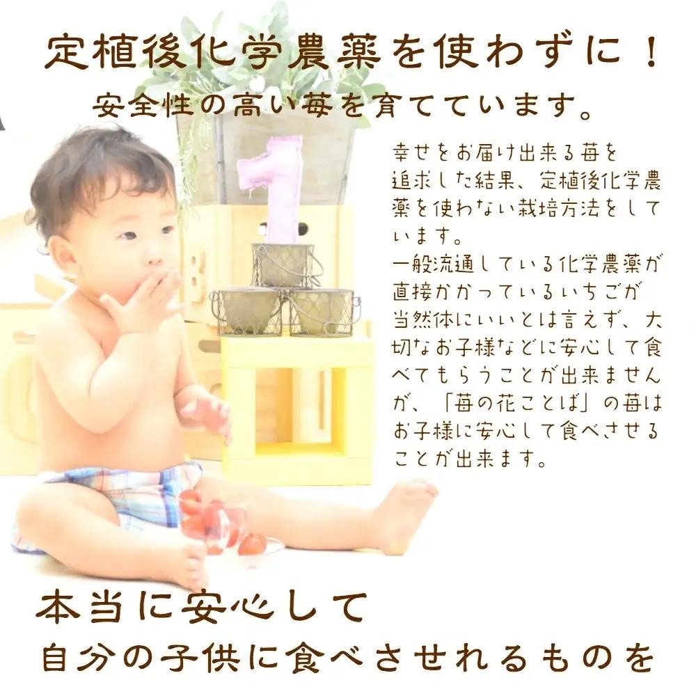 先行予約  定期便 6回【12～5月発送】いちごの定期配送 雪国完熟いちご越後姫 ダブル（約760g×全6回） 越後姫 いちご 苺の花ことば