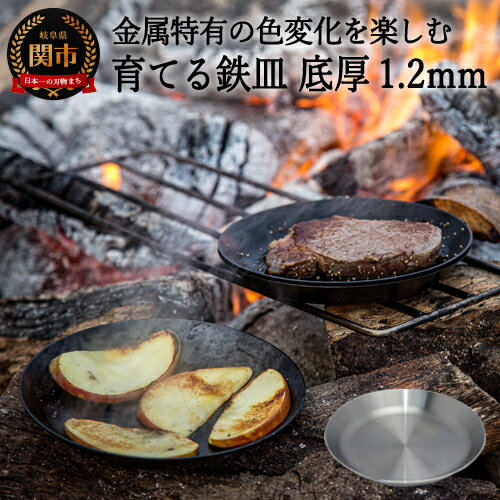 【ふるさと納税】育てる鉄皿　底厚1.2mm【最長2ヶ月】を目安に発送 鉄板 鉄板プレート ステーキ皿 プレート 直火 鉄板焼き 鉄フライパン 浅型 鉄 軽量 調理器具 国産 日本製 送料無料 鉄分補給　D14-05
