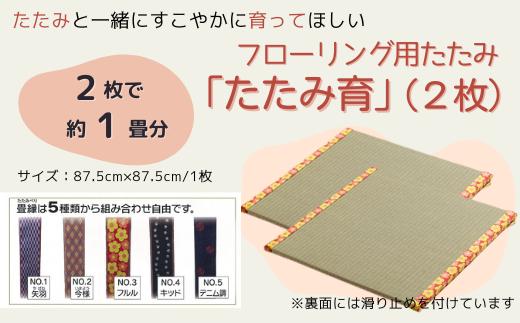 
フローリング用たたみ「たたみ育」2枚065-001
