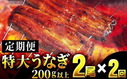 
＜定期便2回＞ うなぎ蒲焼き 計800g (200g×2尾×2回)
