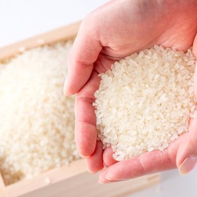 ふるさと納税 小郡市 定期便6回 1等級米 真空パック無洗米ヒノヒカリ 2合(300g)×20袋[No5354-0656]