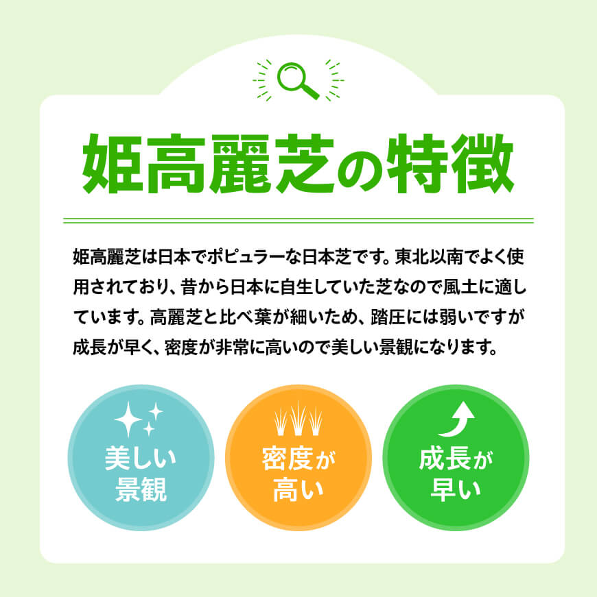 老舗日向芝産「姫高麗芝」2平方メートル 【 九州産 川南町産 宮崎県産 芝生 日本芝 ガーデニング 】