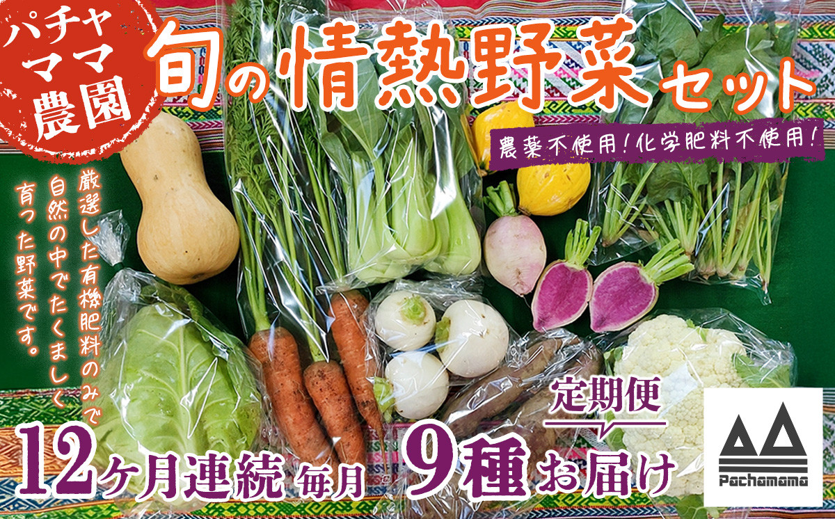 
            【12ヶ月連続お届け】農園自慢の情熱野菜セット（9品）【野菜 詰め合わせ お任せ 季節物 定期便 セット 山芋 パセリ わさび菜 ポップコーン かぶ 人参 里芋 たまねぎ 玉ねぎ ルッコラ ほうれん草 春菊 大根 芽キャベツ レタス じゃがいも さつまいも とうもろこし そら豆 枝豆 パクチー ビーツ ほうれん草 キャベツ ピーマン なすトマト かぼちゃ】
          