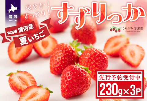 【先行予約受付中】北海道浦河産 夏いちご 「すずりっか」230g×3P[13-1334]