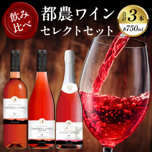 都農ワインセレクトセット(合計3本) 酒 飲料 アルコール 国産_T014-0017