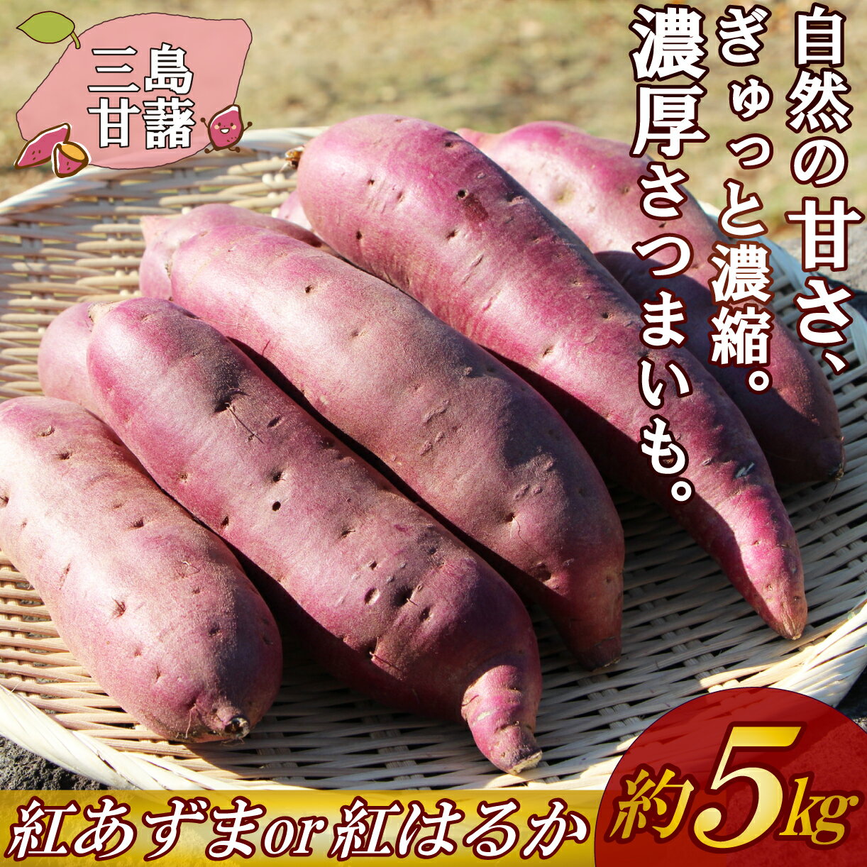 【ふるさと納税】 【予約受付中】三島甘藷 約 5kg 紅はるか or 紅あずま 山北印 さつまいも さつま芋 産地直送 野菜 冬野菜 焼き芋 芋 やきいも ヤキイモ 人気 おやつ 上品な甘み 香り デザート秋 旬 生芋 蜜芋 静岡県 三島市 JAふじ伊豆