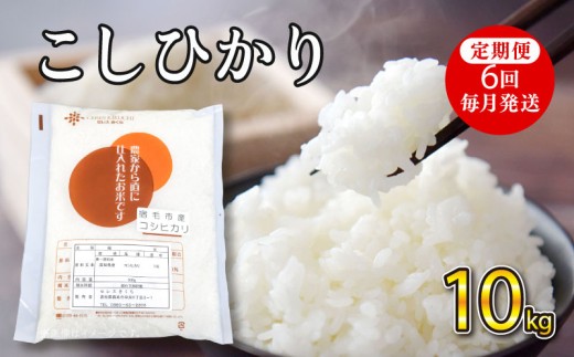 令和7年産コシヒカリ 10kg  定期便6回(毎月発送) セレスきくち