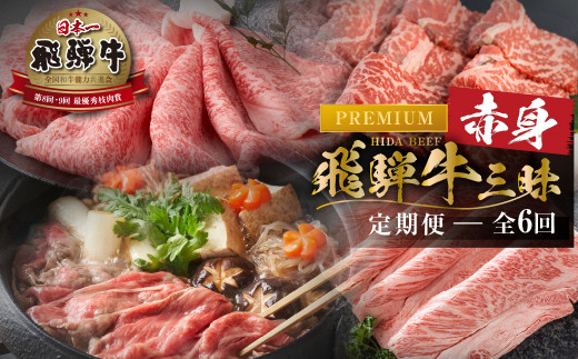 《まるごと定期便》飛騨牛赤身三昧 プレミアム 全6回  お届け 肉 牛肉 すき焼き ステーキ 切り落とし 焼肉 バラエティ 定期便 [S605]
