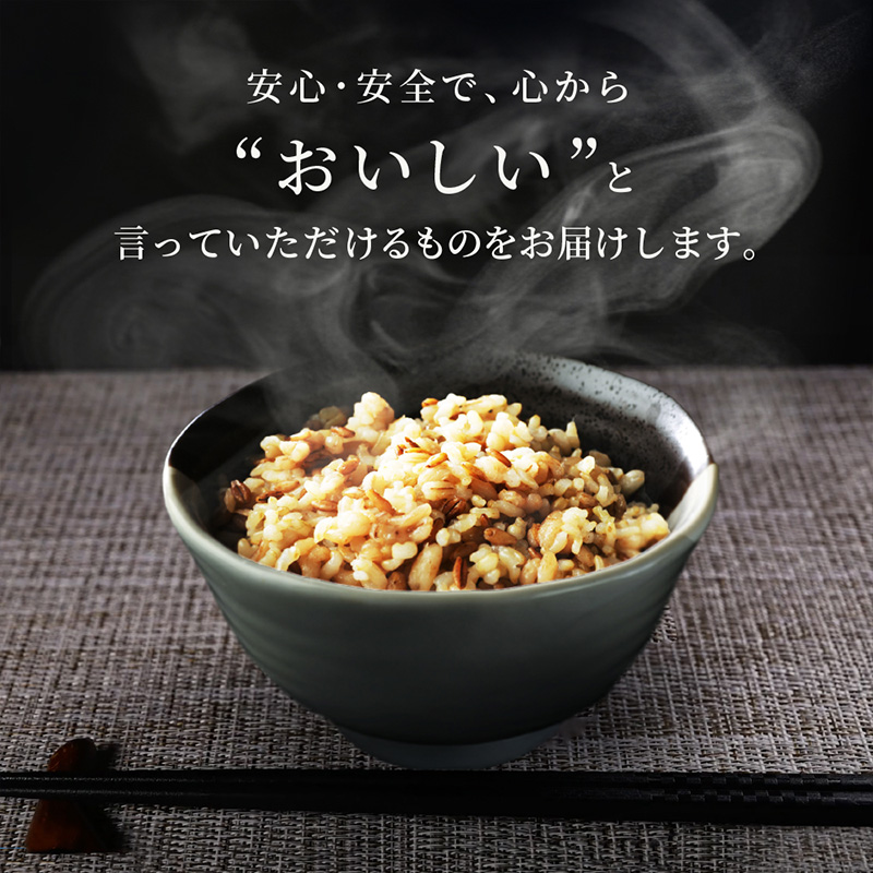 【定期便6回】やまがた雑穀玄米パックごはん 150g×9個 (つや