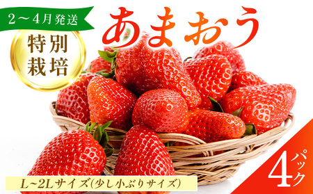 福岡県産 特別栽培 あまおう L~2Lサイズ（少し小ぶりサイズ）約1140g（約285g×4パック）【2〜4月発送】　農園直送 アフター保証 先行予約 福岡産 送料無料 ケーキ ギフト お祝い 限定 季節限定 UN004