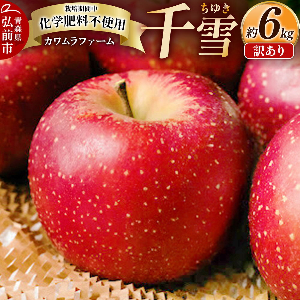 【ふるさと納税】【25年10月〜発送】りんご 千雪 約6kg カワムラファーム 訳あり【先行受付】 青森 果物 フルーツ 林檎 リンゴ くだもの 予約