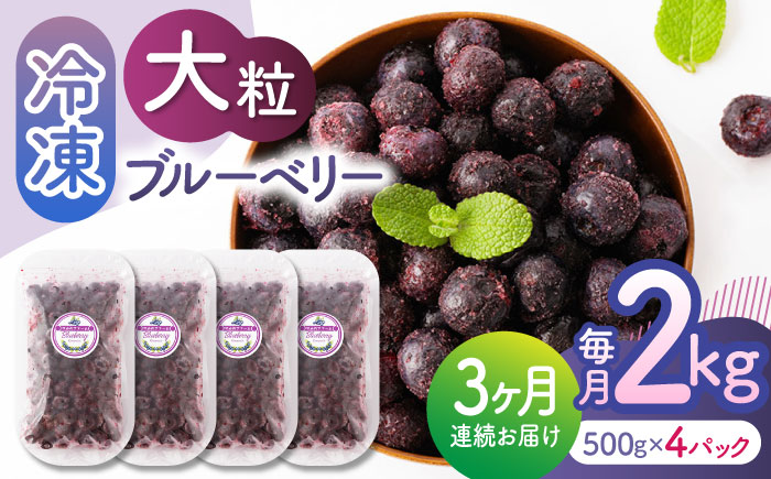 【3回定期便】大粒 冷凍ブルーベリー 約2000g（約500g×4pc） 【すみれファーム】 [ZEP016]