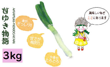 甘ゆき物語3kg【野菜 やさい 食品 人気 おすすめ 】