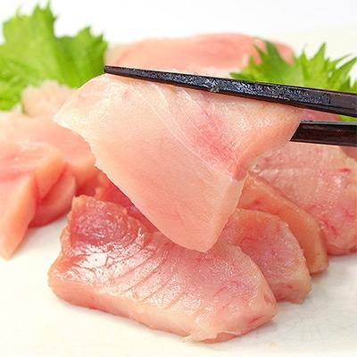ふるさと納税 いわき市 トロびんちょう鮪　約1kg　解凍レシピ付き