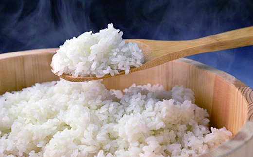 FYN6-271 令和7年度 山形県 西川町産 無洗米 雪若丸 10㎏(5kg×2) 精米 白米 米 こめ ライス ごはん ご飯 ブランド米 銘柄米 家庭用 自宅用 贈答用 お取り寄せ 食品 時短 節