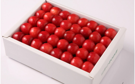 08-03-029　さくらんぼ(佐藤錦)手詰め化粧箱500g