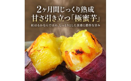 【 冬季 限定 】【 先行予約 】高知県産 熟成紅はるか 極蜜芋 5kg ｜ 紅はるか さつまいも 生芋 熟成芋 高知 焼き芋 やきいも おやつ 農家直送 産地直送 ギフト WADA FARM 高知県
