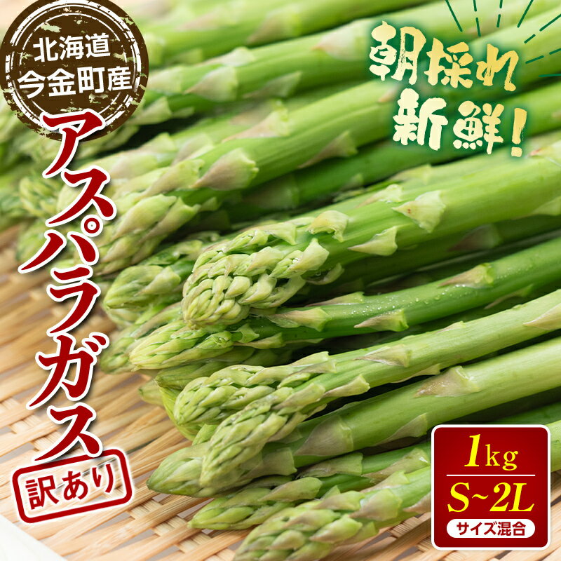 【ふるさと納税】【訳あり】朝採れ新鮮アスパラ 1kg（S～2Lサイズ混合） 野菜 北海道産 バーベキュー BBQ キャンプ 旬野菜 ワケあり わけあり アスパラガス 栄養満点 冷蔵発送 F21W-318var