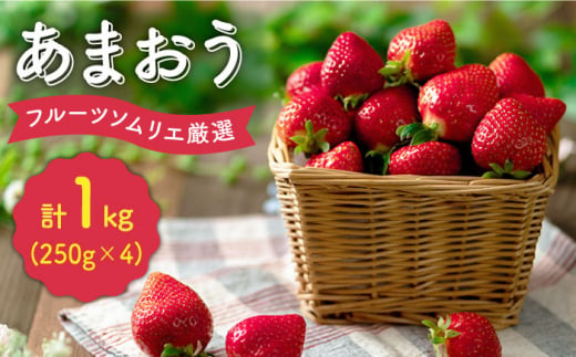 【12月上旬より発送】福岡産【冬】 あまおう 4パック＜南国フルーツ株式会社＞那珂川市 [GCD012]