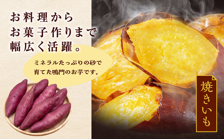 【 予約受付中・2024年10月頃より順次発送 】なると金時 3kg さつまいも 鳴門金時 箱入り サツマイモ 野菜 人気 ホクホク 鳴門のさつまいも