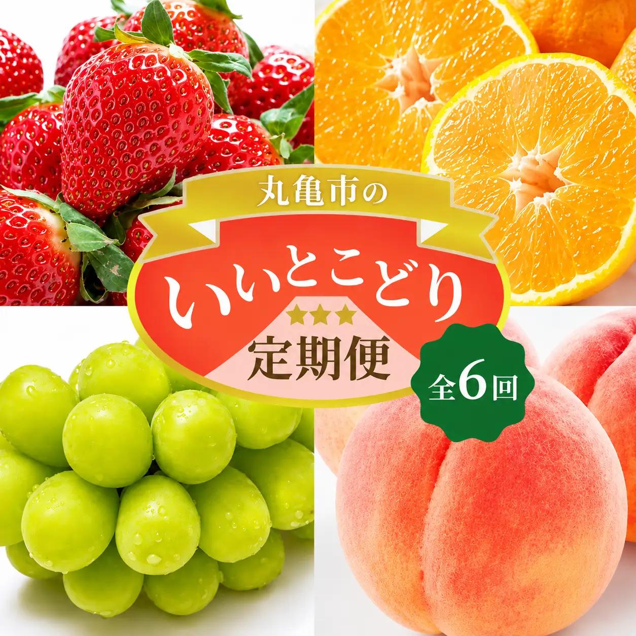 【全6回】フルーツ 定期便 いいとこどり定期便 桃 マスカット