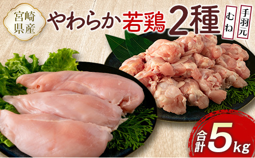 
宮崎県産鶏肉 やわらか若鶏2種（むね・手羽元）合計5kg【A285】
