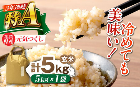 福岡県産 元気つくし 玄米 5kg×1袋 [BGAF026]元気つくし