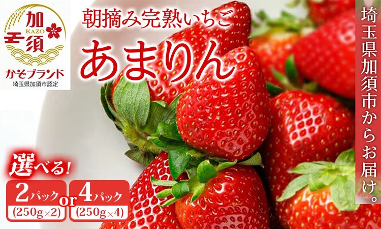 
                  【先行受付】「埼玉農業大賞特別賞」を受賞！ 完熟朝摘み あまりん【苺】 イチゴ おおきい スイーツ あかい 果物 ふるさと納税 いちご うまい フルーツ 期間限定 人気いちご 甘い いちご 旬 直送 おすすめいちご ストロベリー 苺ジャム いちご 好きのための いちご
                