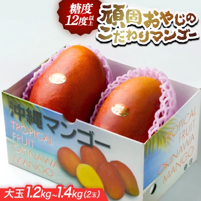 
                  ＜2027年発送・糖度12度以上保証＞頑固おやじのこだわりマンゴー大玉1.2kg～1.4kg(2玉)【1675684】
                