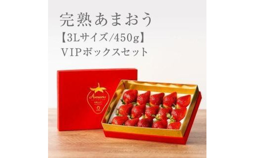 【2027年1月～4月出荷分予約販売】武下さんちの「完熟あまおう」 3Lサイズ 450g  赤いVIPボックスに入れて！【あまおう 完熟 いちご 苺 イチゴ くだもの 果物 フルーツ 大粒 450g ご当地 ブランド ギフト 人気 おすすめ 送料無料 福岡県 大川市 AA069】