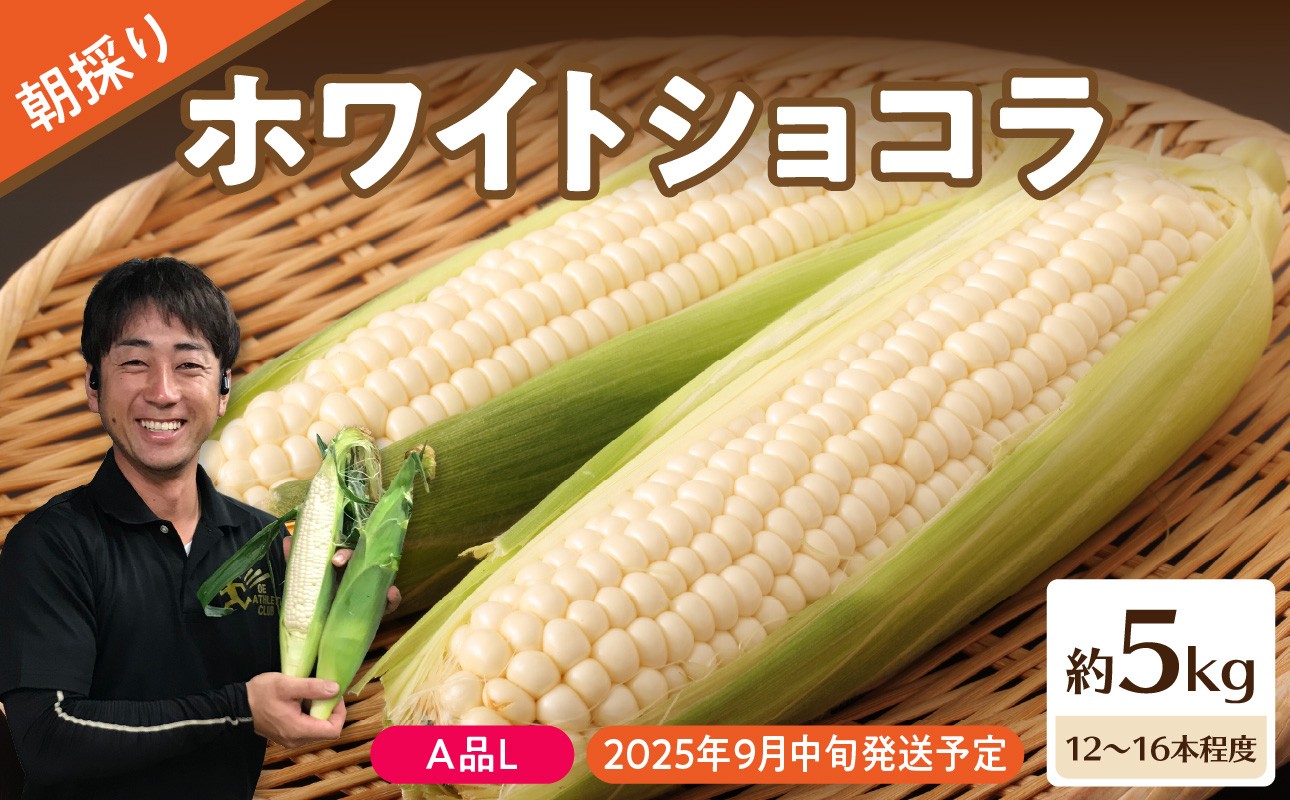 
            《先行受付》朝採りホワイトショコラ約5kg・A品L・12～16本程度 【2025年9月中旬～発送予定】【山形とうもろこし・大江町産・明石農園】【027-006】
          