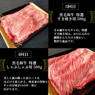 訳あり 京都府産黒毛和牛(A4・A5)人気部位 6回定期便 【焼肉・すき焼き・ステーキ2種・しゃぶしゃぶ・ローストビーフ 計2.54kg】 京の肉 ひら山 味わいづくし ≪定期便 牛肉 京都丹波産≫