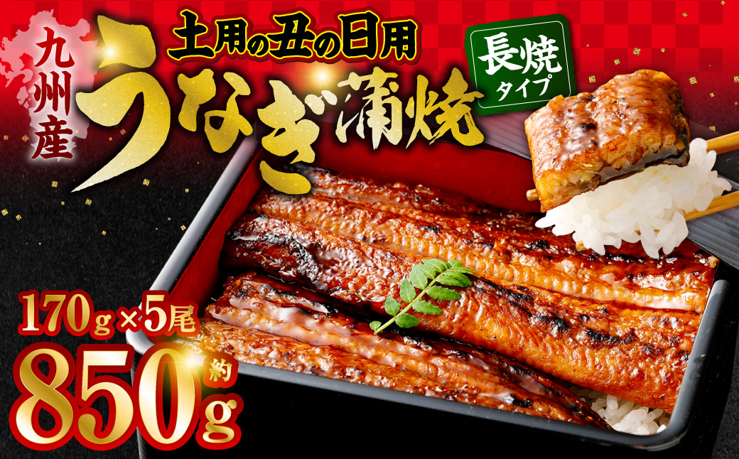 CSR-701 【数量限定】先行予約　丑の日用九州産うなぎ蒲焼  計約850g（約170g×5尾 ） 【2025年7月発送】