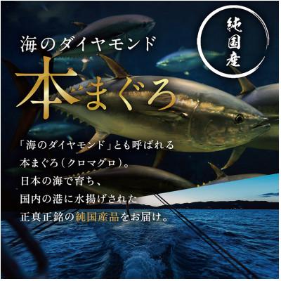 ふるさと納税 越前市 本まぐろ 中トロ 250g(柵どり) |  | 01
