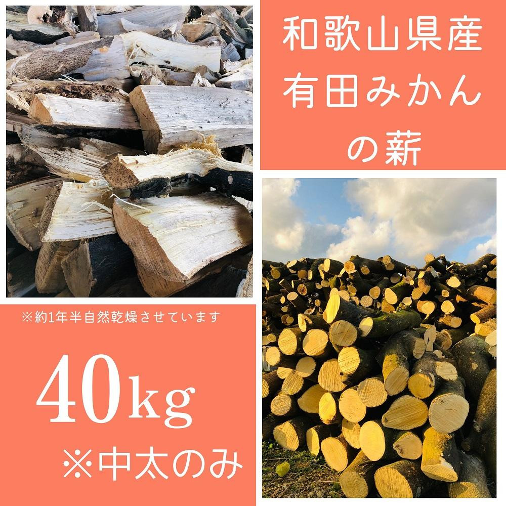 
薪 キャンプ用 有田みかんの薪40kg(中太のみ)
