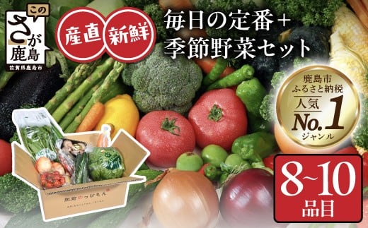 野菜ソムリエ選定 肥前の国の お野菜詰め合わせセット  野菜 セット 詰め合わせ 8～10品目 ふるさと納税 佐賀県 鹿島市 A-4