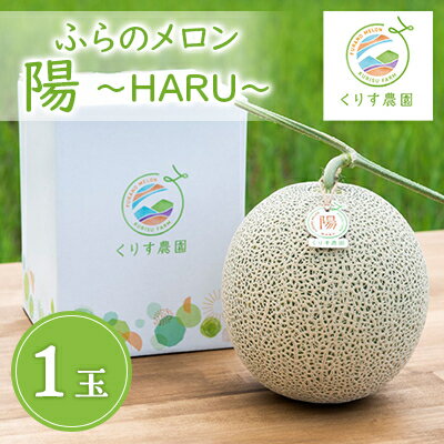 【ふるさと納税】【2027年発送】ふらのメロン「陽 ～HARU～」大玉(2.3kg以上)×1玉　(赤肉)富良野メロン_ メロン めろん 富良野メロン 赤肉 フルーツ くだもの 果物 ふるーつ 青果 北海道 富良野 産直 産地直送 甘い 高糖度 贈答 ギフト 常温 季節限定 人気 【1478649】