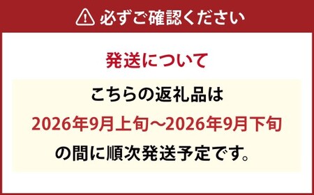 ≪先行受付≫ 福果園の樹上完熟梨 農家直送品種おまかせ（3kg程度）5～9玉 | 福果園 梨 果物 果実 完熟 フルーツ 冷蔵 農家直送 新鮮 品種 おまかせ 豊水 福水 あきづき 甘太 岐阜県 美濃
