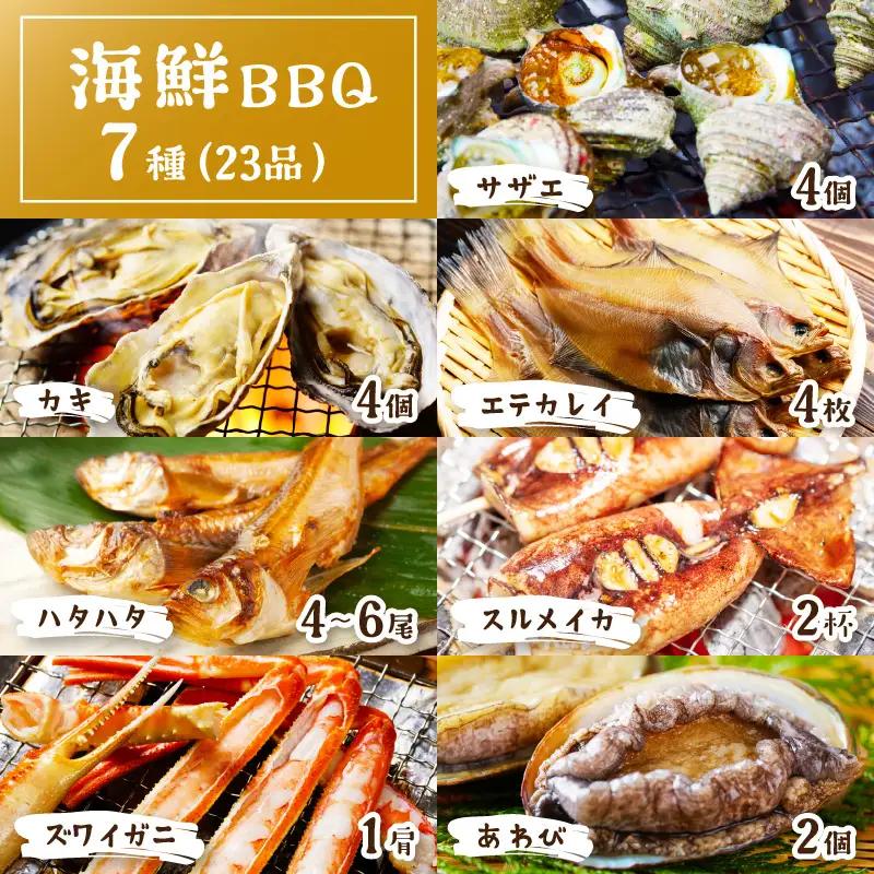 大満足！京丹後・海鮮BBQ　Fセット　豪華盛り合わせ　生ズワイガニ　アワビ付　7種23品（4～5人前）（2026年4月中旬～発送） 魚介類 さざえ 蠑螺 カキ かき かに カニ ずわい蟹 ズワイ蟹 バ